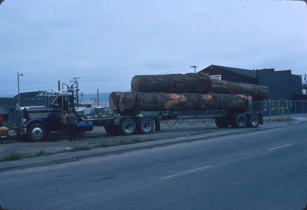 logging truck loaded