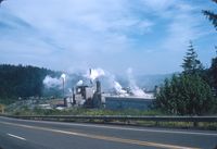 International Paper, Reedsport OR