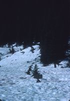 Rainy Pass trail sign