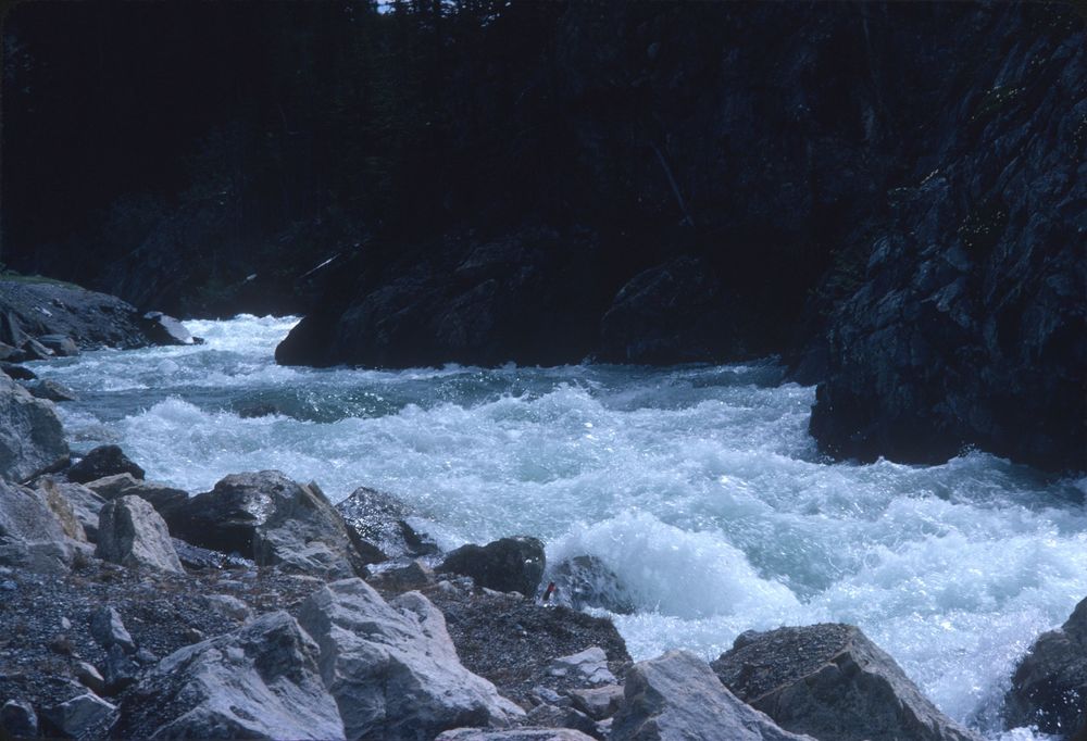 Kicking Horse River