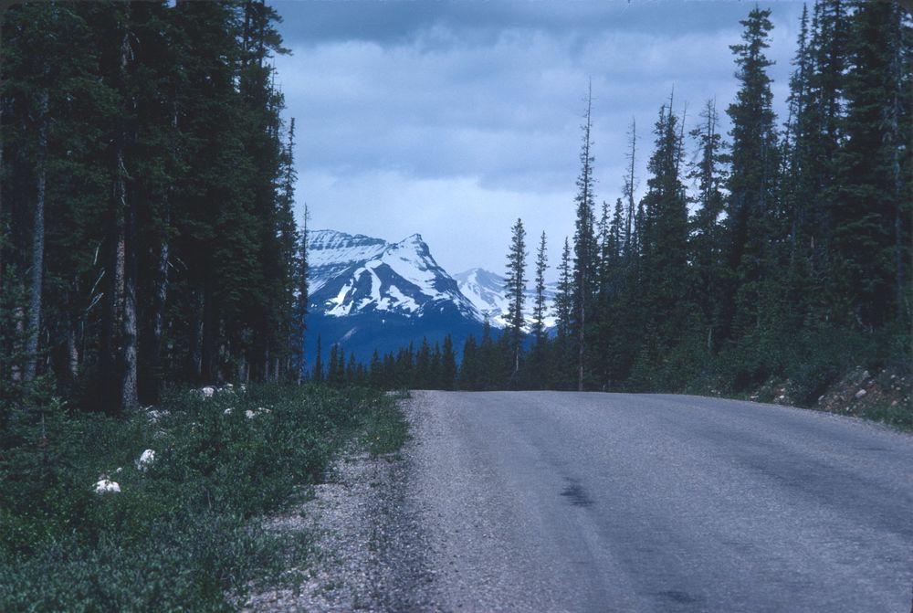 Glacier from Route 1A