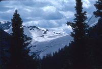 Glacier Natl Park - snowfield