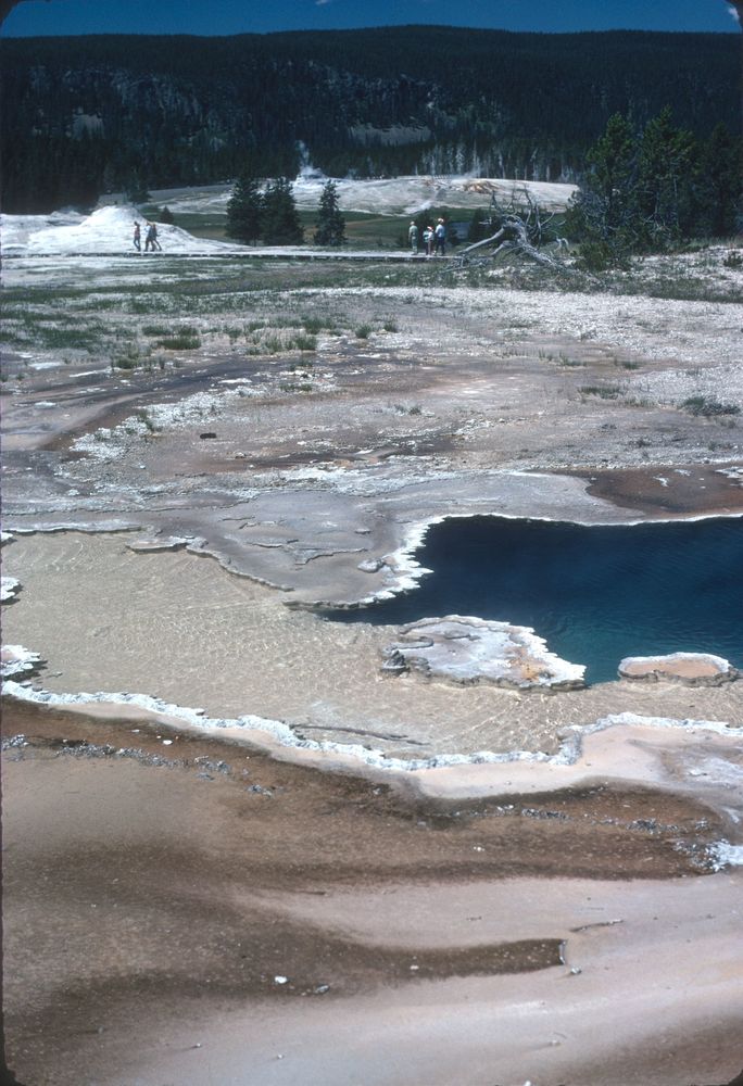 Doublet Pool